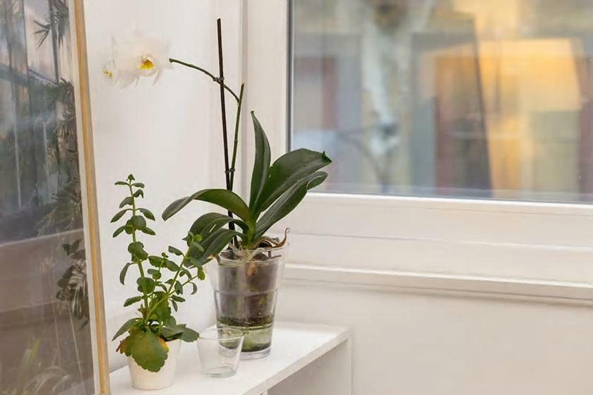 Appartement White Fabrica House
